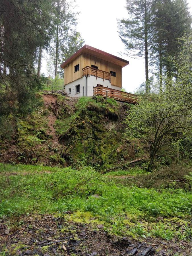 Le Refuge Perche Du Saut De La Bourrique Spa, Terrain Cloture Gérardmer Exterior foto